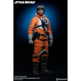 Star Wars figure 1/6 Luke...