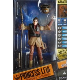 Princess Leia in boushh disguise